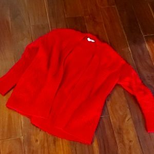 Moth red sweater